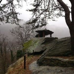 Meet your Posher, Tim